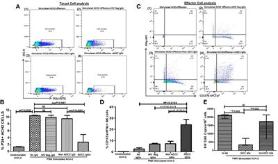 Anti-HIV-1 ADCC and HIV-1 Env Can Be Partners in Reducing Latent HIV Reservoir